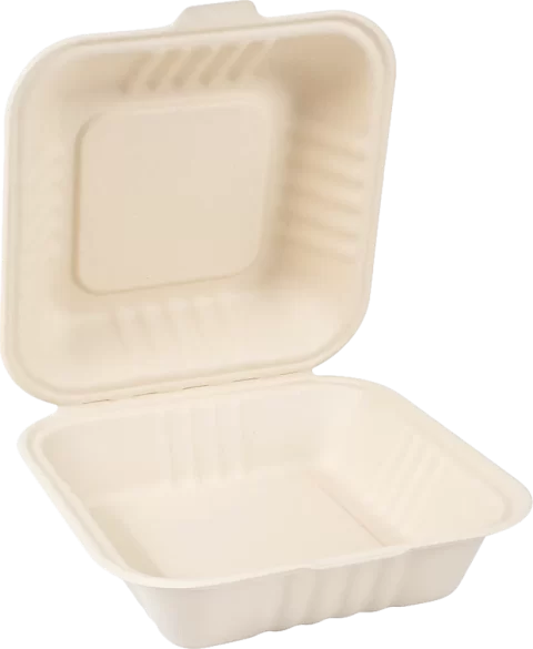 Bagasse Container