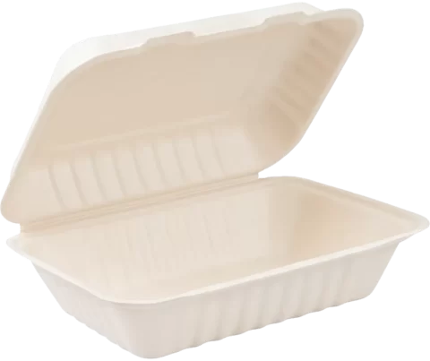Bagasse Container