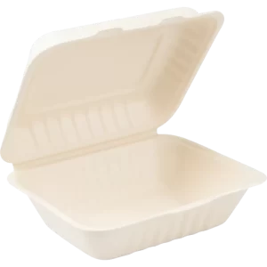 Bagasse Container