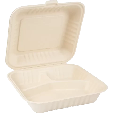 Bagasse Container