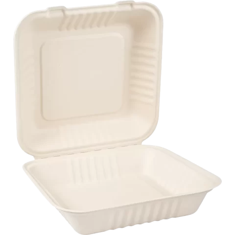 Bagasse Container