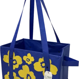 Collapsible Box Bag