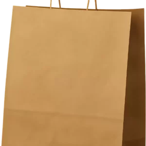 Twisted Handle Paper Bag