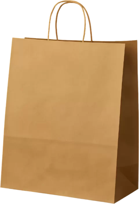 Twisted Handle Paper Bag
